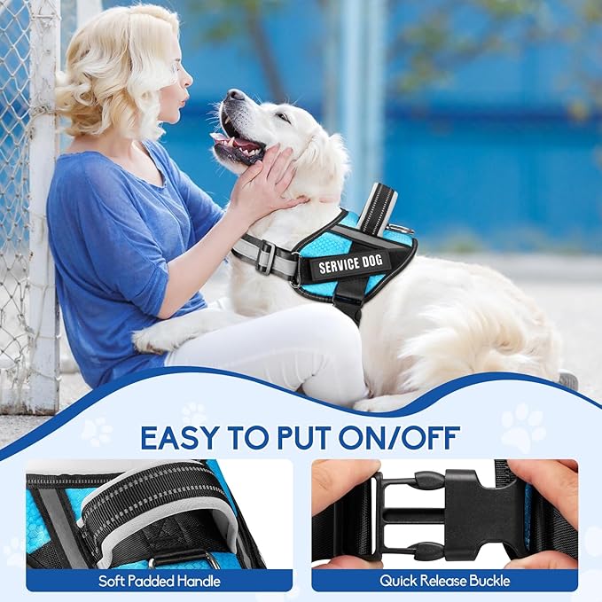 Service Dog Vest Harness and Leash Set, Animire in Training Dog Harness with 10 Dog Patches, Reflective Dog Leash with Soft Padded Handle for Small, Medium, Large, and Extra-Large Dogs