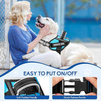 Service Dog Vest Harness and Leash Set, Animire in Training Dog Harness with 10 Dog Patches, Reflective Dog Leash with Soft Padded Handle for Dogs (Light Blue,L)