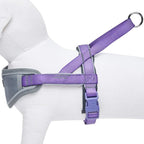 Blueberry Pet 8 Colors Soft & Comfy 3M Reflective Strips Padded Dog Harness Vest, Chest Girth 30" - 38.5", Purple, Large, Nylon Adjustable Training Harnesses for Dogs