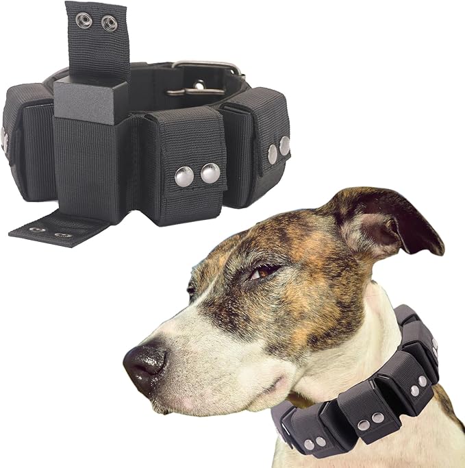 Tactical Weighted Dog Collar - Weights for Training & Exercise - Small, Medium, Large Dogs