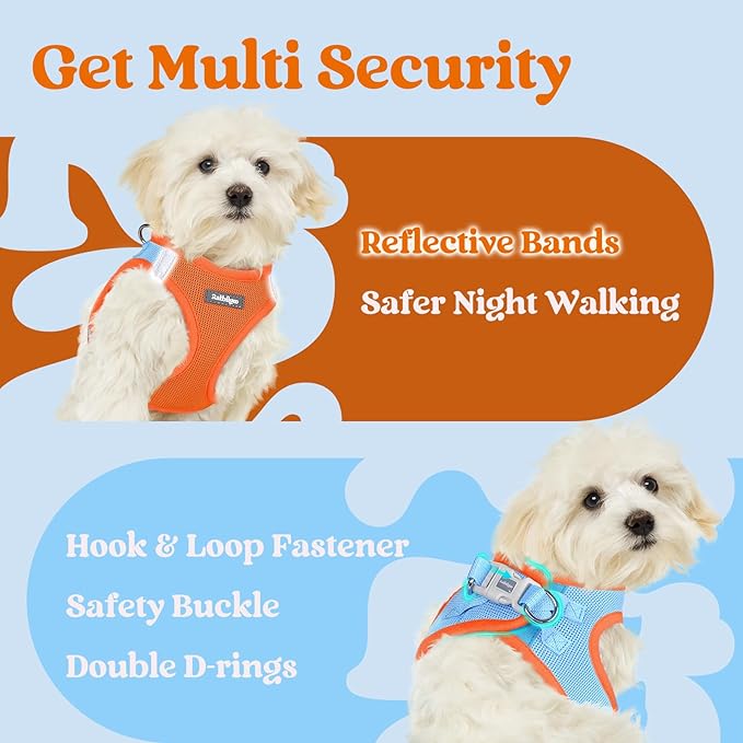 rabbitgoo Small Dog Harness, Step-in Soft Mesh Puppy Vest with Safety Buckle, Breathable Reflective Pet Harness for Small Medium Dogs, Blue & Orange L