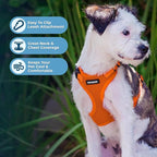 Voyager Step-in Pet Harness - All Weather Mesh, Adjustable Step in Harness for Cats and Dogs by Best Pet Supplies - Orange, XS