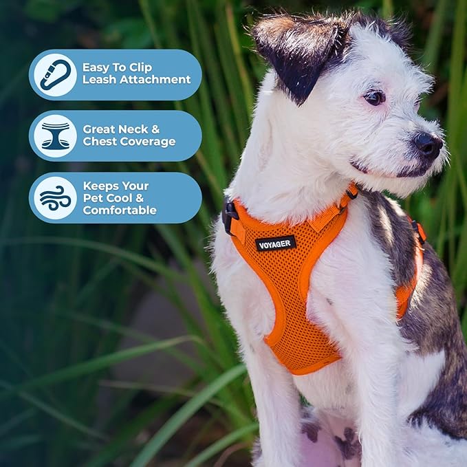 Voyager Step-in Pet Harness - All Weather Mesh, Adjustable Step in Harness for Cats and Dogs by Best Pet Supplies - Orange, XL