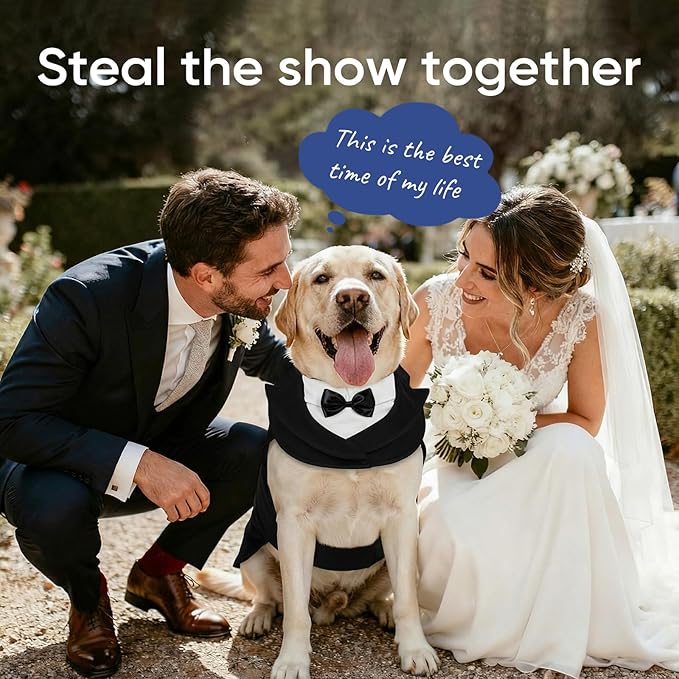 Supet Dog Tuxedo and Bandana Set with Bow Tie, Formal Outfit for Wedding Birthday Party Graduation Valentines, Pet Suit Clothes for Large Medium Small Dogs (Black, M)