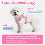 rabbitgoo Dog Harness Small Sized and Leash Set, Step in Soft Light Puppy Vest, Breathable Mesh Pet Harness, Reflective for Safe Easy Walking, Pink & Plaid Trim XS