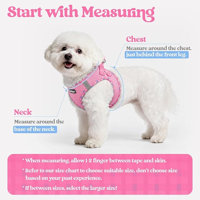 rabbitgoo Dog Harness Small Medium Sized and Leash Set, Step in Soft Light Puppy Vest, Breathable Mesh Pet Harness, Reflective for Safe Easy Walking, Pink & Plaid Trim L