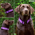 Tuff Pupper Tactical Dog Collar with Handle | Heavy Duty Adjustable Dog Collar | Military Nylon Collar for Large Dogs | Quick-Release Buckle | Soft Padded Comfort | Training Control (Purple, Large)