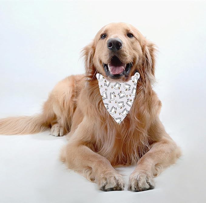 JXGZSO 1 Piece Silly Goose Triangle Dog Bandana Meme Goose Duck Merchandise (Silly Goose DB)