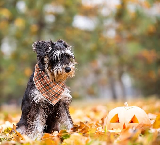 Lionet Paws Halloween Dog Bandana - Plaid Dog Kerchief, Adjustable Washable Reversible Cotton Scarf for Small to Large Dogs
