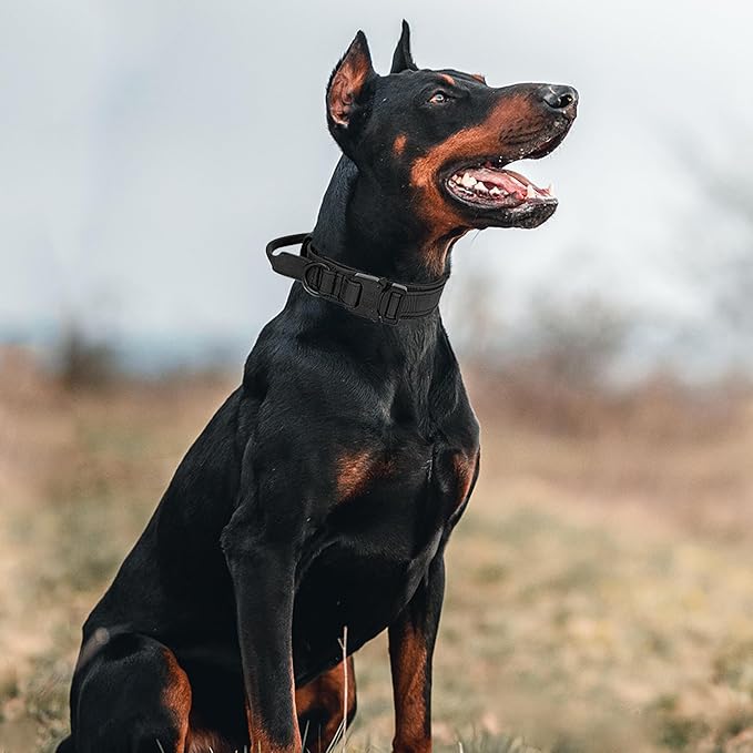 Tactical Dog Collar with Handle - Military Adjustable Dog Training Collar Soft Nylon and Heavy Duty Metal Buckle for Medium Large Dogs - with Patch (Black, Medium)