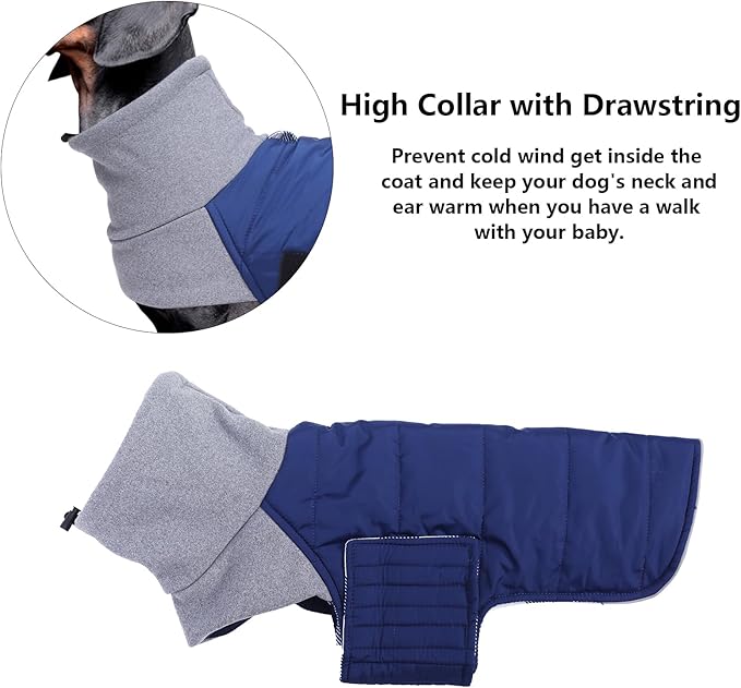 Dachshund Dog Coats Jacket fit for Dachshunds Corgi Weiner Reversible Winter Coat Padded Cotton Lining high Collar Dog Suit in Autumn Winter Navy L