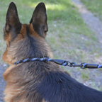 BronzeDog Rope Pro Training Dog Collar Braided No Pull Quick Release Round Lead Collars for Dogs Small Medium Large Puppy (Blue, S - 17.7" Long)