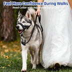 BARKLESS Dog Training Head Collar for Pulling, No Pull Head Halter with Adjustable Safety Strap, Anti-Pull Soft Padded Muzzle Leash for Walking Training Leash Reactive Large Dogs
