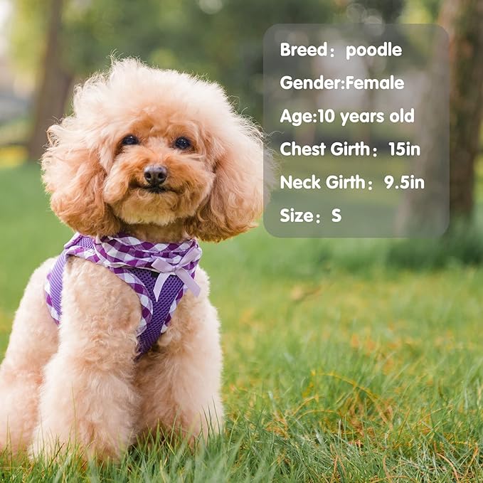 PUPTECK Dog Harness for Puppy and Small Sized Dogs, Step-in No Pull Soft Mesh Vest Harness for Cats Small Pets Walking, Purple, New XXS