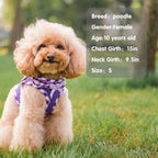 PUPTECK Dog Harness for Puppy and Small Sized Dogs, Step-in No Pull Soft Mesh Vest Harness for Cats Small Pets Walking, Purple, New S
