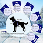EMUST Dog Cold Weather Coats, Fleece Lining Small/Medium/Large Dog Jacket for Winter, Warm Waterproof Pet Winter Clothes for Large Dogs, Blue XL
