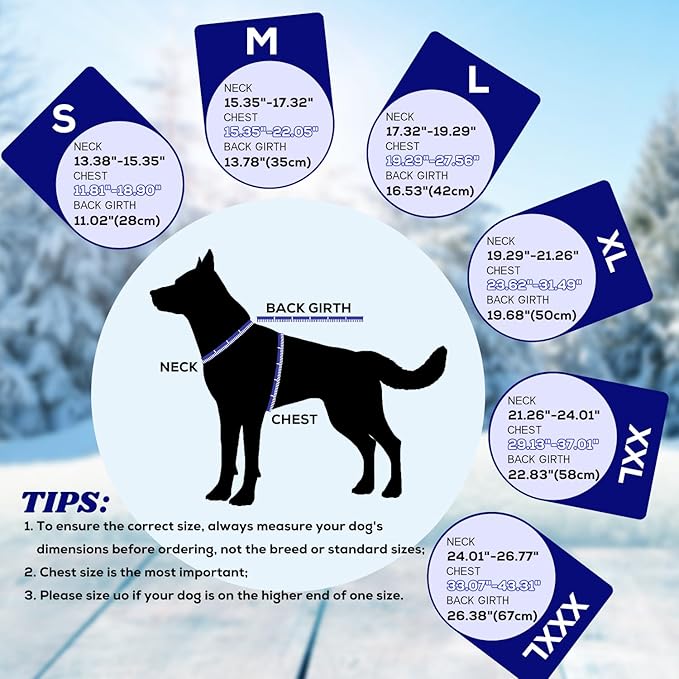EMUST Dog Cold Weather Coats, Fleece Lining Small/Medium/Large Dog Jacket for Winter, Warm Waterproof Pet Winter Clothes for Large Dogs, Blue XL