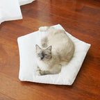 Dog Cat Teepee Tent Bed,Portable Pet Teepee for Small Animals Removable & Washable,Indoor Dog House with Cozy Cushion,Cat Teepee for Indoor Cats,Bunny Tent Outdoor (White Lace, L)
