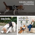 AUROTH Dog Harness and Leash Set, Soft Padded Service Dog Vest with 5.25FT Dog Leash, No Choke, Easy On Pet Vest, Adjustable Reflective No Pull Dog Harness for Large Dogs, Easy Walking and Training