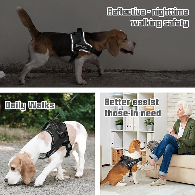 AUROTH Dog Harness and Leash Set, Soft Padded Service Dog Vest with 5.25FT Dog Leash, No Choke, Easy On Pet Vest, Adjustable Reflective No Pull Dog Harness for Large Dogs, Easy Walking and Training
