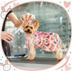 Frienda 6 Pieces Bowknot Princes Puppy Dog Dress Floral Vest Skirt Summer Pet Dress Dog Cute Rosette Sundress Apparel for Puppy Cat Pet(S)