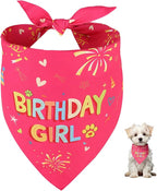 SZEE Dog Birthday Bandana, Reversible Bandanas for Dog Birthday Outfits, Pet Apparel & Accessories, Triangle Pet Scarf for Photo Prop and Holiday Decor (Small, Pink)