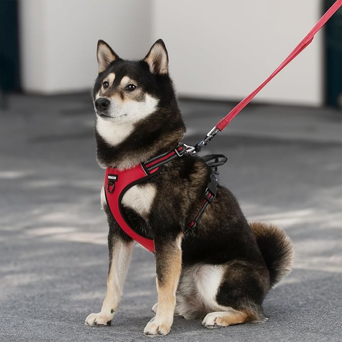 Voyager Dog Harness Dual Leash Attachment No-Pull Control Adjustable Soft but Strong Pet Harness for Medium and Large Dogs with 3M Reflective Technology, Leash Set Red Nylon, XS (Chest: 13-16")