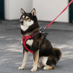 Voyager Dog Harness Dual Leash Attachment No-Pull Control Adjustable Soft but Strong Pet Harness for Medium and Large Dogs with 3M Reflective Technology, Leash Set Red Nylon, S (Chest: 16-20")