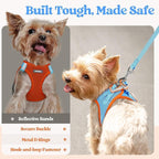 rabbitgoo Dog Harness Small Medium Sized and Leash Set, Step in Soft Light Puppy Vest, Breathable Mesh Pet Harness, Reflective for Safe Easy Walking, Blue & Orange L