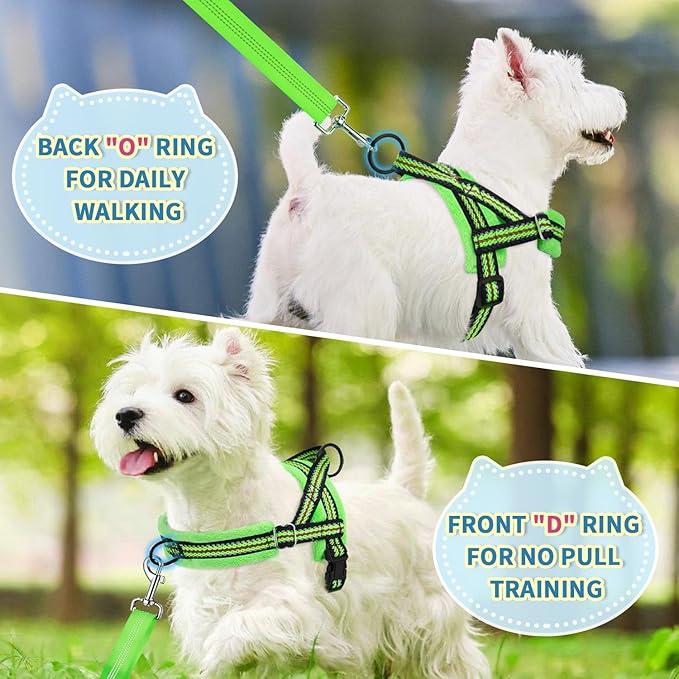 Lukovee Soft Padded Small Dog Harness (X-Small, Green) with 4ft Lightweight Leash, Adjustable Reflective Vest for Walking, Running, Hiking, Training