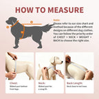 Dog Shirt, Cooling Vest Lightweight Breathable, Dog T-Shirts All-Season UV Protection Pet Clothes Quick Dry Soft Stretchy Pet Shirt Vest for Small Medium Large Dogs (Brier Rose 1PC, Large)