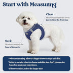 rabbitgoo Dog Harness Small Medium Sized and Leash Set, Step in Soft Light Puppy Vest, Breathable Mesh Pet Harness, Reflective for Safe Outdoor Walking, Navy Blue L