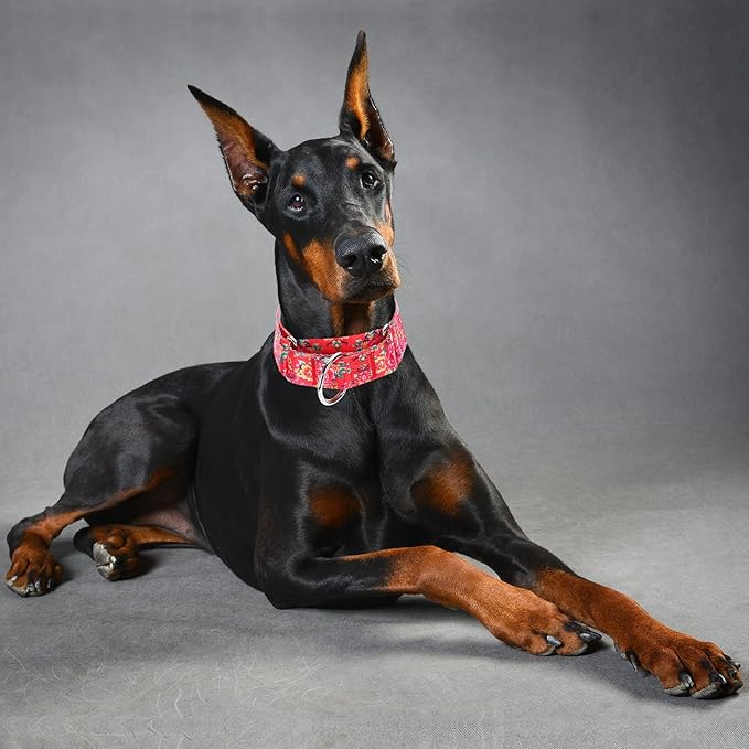 Martingale Dog Collar 1.5” Width – Heavy Duty Adjustable Training Collar with Stylish Red Floral Design – Secure Fit for Large Dogs – Perfect for Walking, Hunting & Outdoor Adventures XL