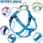 2 Hounds Design Freedom No Pull Dog Harness, Adjustable Harness and Leash Set, Easy Walking & Comfortable Control, Fits Small, Medium & Large Dogs, Solid Colors, Made in USA, 5/8" SM, Turquoise