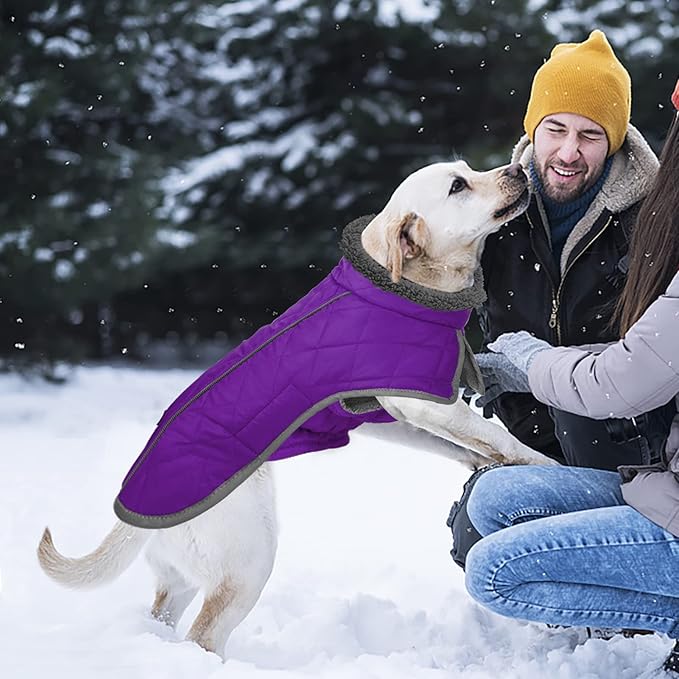 Fragralley Dog Coat Small, Waterproof Dog Jacket with Warm Fleece Lining, Adjustable Reflective Dogs Winter Coat, Turtleneck Pet Coats for Cold Weather (Purple S)