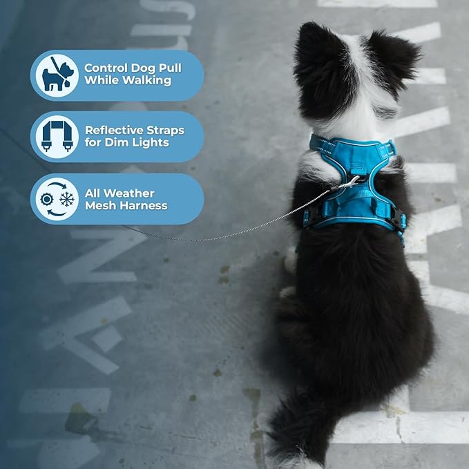 Voyager Dog Harness Dual Leash Attachment No-Pull Control Adjustable Soft but Strong Pet Harness for Medium and Large Dogs with 3M Reflective Technology, Turquoise Nylon, XL (Chest: 28-37")