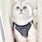 Best Pet Supplies Voyager Step-in Air Harness - All Weather Mesh, Reflective, No Pull Harness for Dogs, Cats - Secure with Hook & Loop Fastener, Buckle, Double D-Rings - Gray 2-Tone, XL