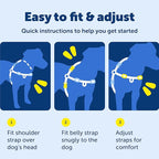 PetSafe Easy Walk Harness for Dogs - Pull-Free Walks - Patented Martingale Loop Design - Front Chest Leash Attachment - Comfort Straps - Breathable Harness Design - Large, Teal/Gray