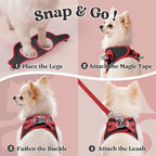 rabbitgoo Dog Harness Small Sized and Leash Set, Step-in Breathable Pet Harness, Soft Walking Reflective Puppy Vest for Small Dogs, Black & Red, S