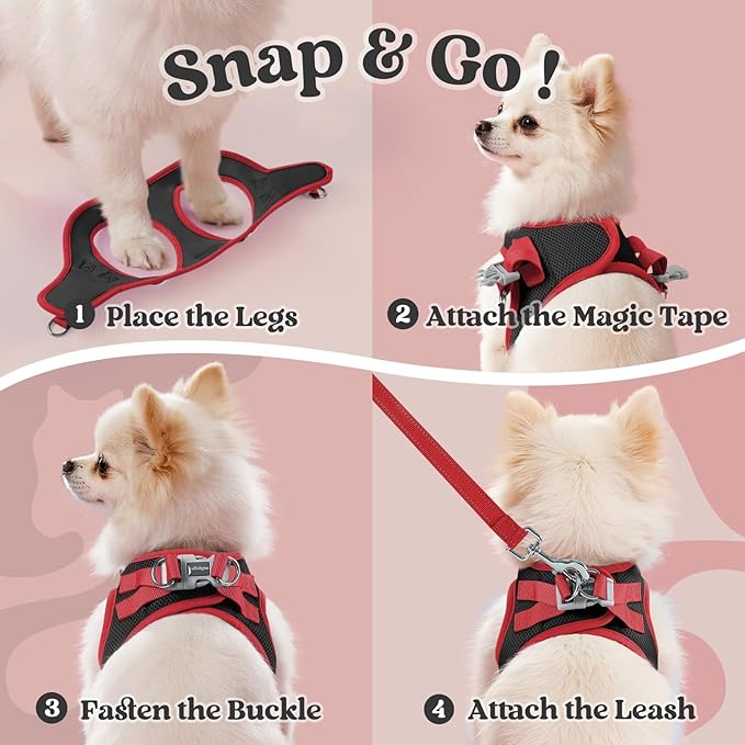 rabbitgoo Dog Harness Small Sized and Leash Set, Step-in Breathable Pet Harness, Soft Walking Reflective Puppy Vest for Small Dogs, Black & Red, XXS
