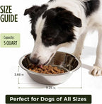 Scott Pet Bowl, Stainless Steel Pet Water and Food Bowl, 5 Quarts (11.25 x 11.25 x 3.69 Inches, 0.52 lbs), Dishwasher Safe, Rust Resistant, Silver