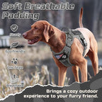 rabbitgoo Tactical Dog Harness Medium Sized Dog, No Pull Military Service Vest with Handle & Molle, Easy Control for Training Walking, Adjustable Reflective Straps, Dark Grey, M