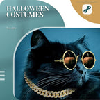 Xuniea 2 Pieces Cat Dog Chain Collar and Sunglasses Set Rhinestone Necklace with Secure Buckle Round Glasses for Doll Cat Dog Pet Accessories(14 Inch,Gold, Black)
