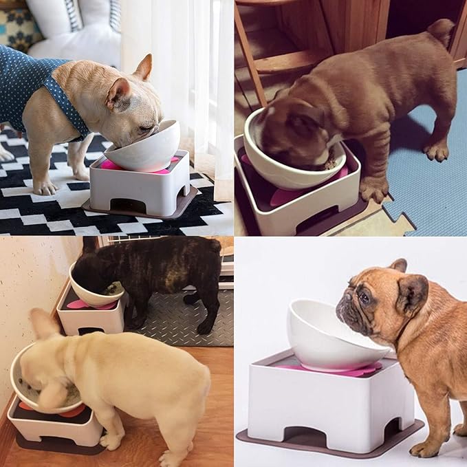 Bulldog Bowl Ceramic Dog Food Bowl - Cat Dish Wide Mouth Dog Bowl Pet Sterile Tilted Pet Feeder with Anti-Skid Rubber Mat (White M/1.5 Cup)