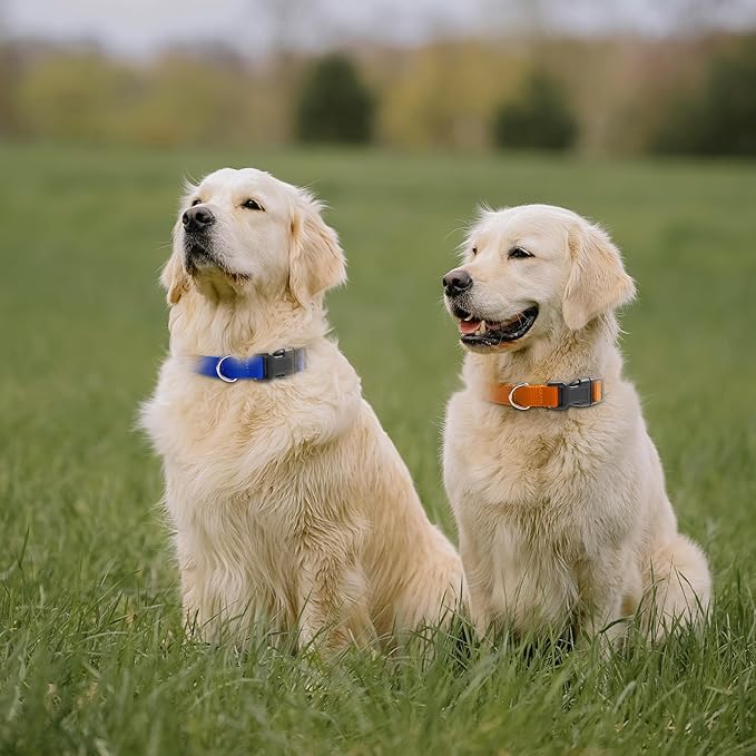 Modern Stylish Ecollar Replacement Strap, 3/4" Nylon Replacement Collar for Shock Collar with Quick Release Buckle, Adjustable Shock Collar Replacement Strap for Small Medium Large Dogs(Orange & Blue)