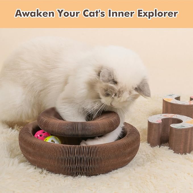 Magic Organ Cat Scratcher Toy with 2 Bell Balls - Interactive Transformable Cat Scratching Board, Foldable Corrugated Cardboard Track Toy for Indoor Cats & Kittens