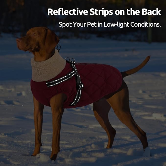 Queenmore Dog Jackets for Large Dogs, Dog Coat with Harness Built-in, Thick Fleece Lining Waterproof Jacket for Large Breeds, Back Zipper Pet Winter Jacket for Retriever, Labrador, Burgundy XL