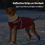 Queenmore Dog Winter Jacket, Dog Coats for Large Dogs, Warm Cozy Pet Jacket Winter with Harness Built in, Waterproof Pet Snow Jacket, Thick Fleece Lining Snowsuit for Large Dogs, Burgundy L