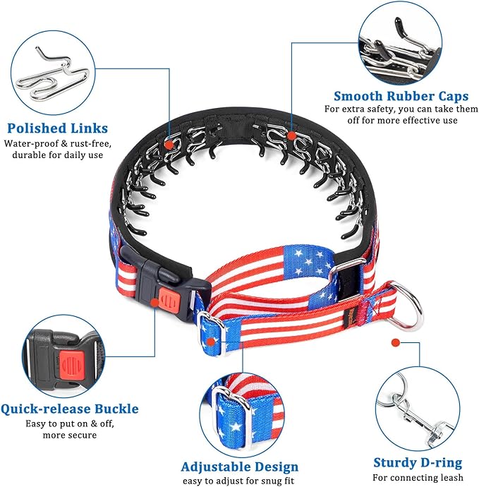 Mayerzon Martingale Prong Collar for Dogs, Patented No Pull Pinch Collar with American Flag and Buckle for Small Medium Large Dogs Training Walking Hunting, Adjustable and Heavy Duty(S, Flag)