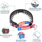 Mayerzon Martingale Prong Collar for Dogs, Patented No Pull Pinch Collar with American Flag and Buckle for Small Medium Large Dogs Training Walking Hunting, Adjustable and Heavy Duty(L, Flag)